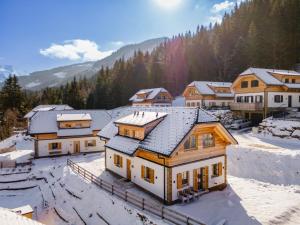 an aerial view of a snow covered village at Haus Rapunzel in Donnersbachwald