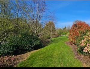 a green field with bushes and trees and a path at Shamrock House in Fintona +4 photos