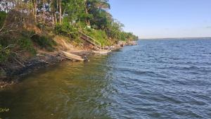a body of water next to a shore with trees at Cananéia Apoio Tours in Cananéia