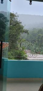 a window with a view of a tree at Hospedaria Mandassaia in Lençóis