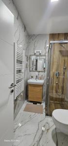 a bathroom with a sink and a shower and a toilet at Zlatni TRG in Zlatibor