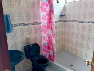 a bathroom with a blue toilet and a shower at Casa Finca de verano in Chachagüí +17 photos