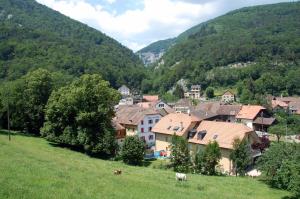 a village in the mountains with a field and cows at Hôtel de l'ours in Vuiteboeuf