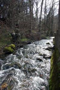 Příroda nedaleko penzionu – hostince