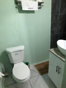 a bathroom with a white toilet and a sink at Hibiscus House in Bequia +8 photos