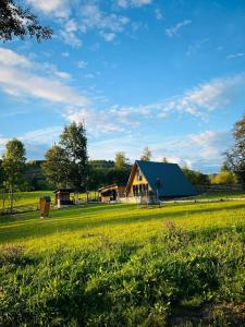 a barn with a blue roof in a field at Cabana Muncelus in Lupşa