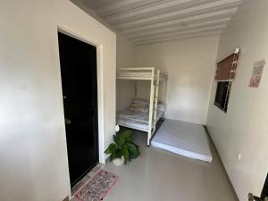a small room with a bunk bed and a plant at MGS viewdeck resort in Samal