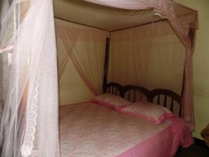 una camera con letto a baldacchino e 2 cuscini rosa di Vine Inn a Mbarara