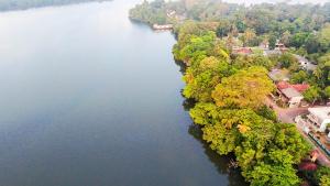 an aerial view of a river with trees and houses at Pearl Bolgoda in Piliyandala