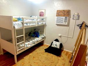 a room with two bunk beds and a fan at Backpacker Bunks and Queen Pool Clifton Beach in Clifton Beach +20 photos