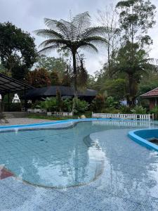 a large swimming pool with a palm tree in the background at Pagupon Camp Syariah in Batu