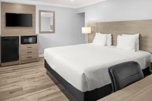 a hotel room with a large bed and a flat screen tv at Lone Oak Lodge in Monterey
