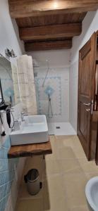 a bathroom with a sink and a shower at Il Lentisco in Codrongianos