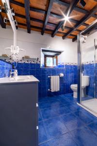a blue tiled bathroom with a shower and a toilet at La Quintana de Los Valles in Benia de Onís +49 photos