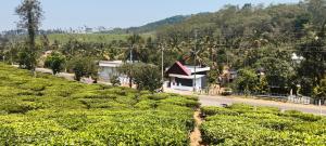 a small village on a hill with a road at Cloud valley wayanad in Vayittiri