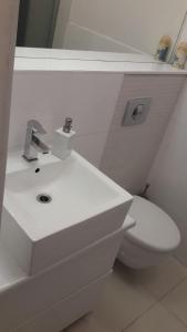 ein Badezimmer mit einem weißen Waschbecken und einem WC in der Unterkunft Apartament Kasprowy Jaszczurówka in Zakopane