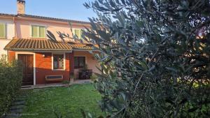 a house with a tree in front of it at The Cozy Nest in Santa Maria a Monte