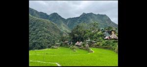 a green field with houses and mountains in the background at Hiker's Homestay in Banaue