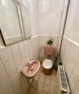 a bathroom with a pink sink and a toilet at Strand Haus Am Walde in Trassenheide +5 photos