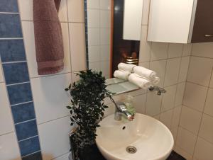 a bathroom with a sink and a potted plant at As 8 Viima inc Sauna in Valkeakoski +5 photos