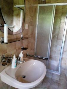 a bathroom with a white sink and a shower at Gästehaus Gruber in Pusterwald