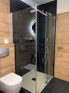 a glass shower in a bathroom with a toilet at Das Landhaus Apartments in Prüm +44 photos