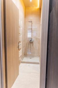 a bathroom with a shower and a walk in shower at Omega Suites 30 in Tríkala