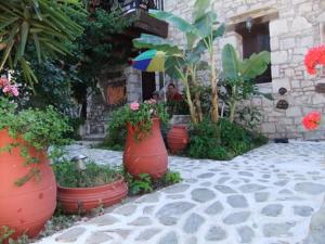 Vonkajšia záhrada v ubytovaní Stone Village Hotel Apartments