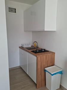 a kitchen with a sink and a counter top at Guest House Nina in Novigrad Istria