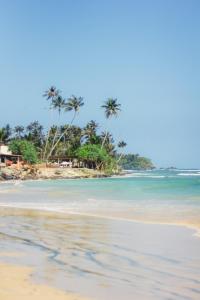 a beach with palm trees and the ocean at KAHA by TONIK, Talpe - Pool & Garden in Talpe