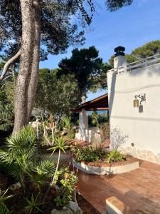 a garden with plants and a tree and a building at Villa Calipso in Taranto