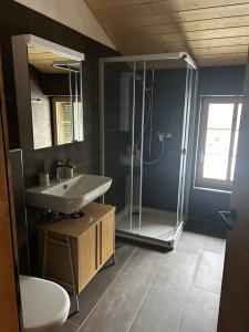 a bathroom with a sink and a glass shower at Ap1 20 min to Interlaken in Frutigen