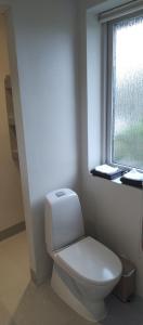 a bathroom with a white toilet and a window at Central Microflat, free parking, garden BBQ, LegoHouse, Legoland, in Billund +19 photos