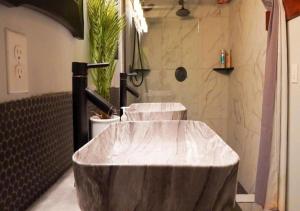 a bathroom with a large marble tub with a shower at Rivers Edge Lofts - Unit 7 in Niles +29 photos