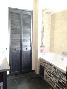 a bathroom with a shower and a tub and a sink at L Écrin de Jade Maison de Bourg La MENITRE in La Menitré