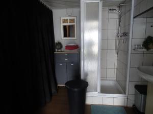 a bathroom with a shower and a sink at B&B Piccardie in Emlichheim +15 photos