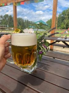 a glass of beer sitting on top of a wooden table at Kemp Karvánky in Dráchov