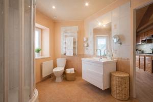 a bathroom with a toilet and a sink and a shower at House by the sea in Klaipėda