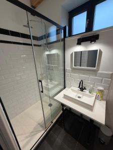 a bathroom with a sink and a shower at Côte Saint-Pierre in Ambleteuse
