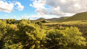 a view of a field with trees and mountains at Bergplaas Nature Reserve in Nieu-Bethesda