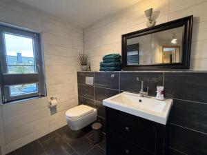 a bathroom with a sink and a toilet and a mirror at Harzhaus Ida in Elbingerode +29 photos