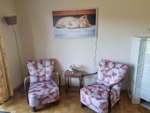a cat laying on a wall next to two chairs at Ferienwohnung Toni in Freyung