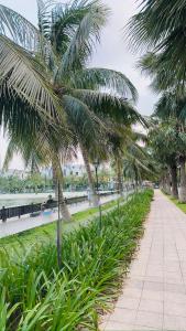 a sidewalk lined with palm trees next to a river at Homestay Nhà Thu Thu Vinhome Ocean Park in Gia Lâm Pho