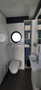a small bathroom with a toilet and a sink at Hausboot bei Passau in Windorf