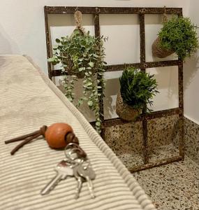 a pair of keys on a bed with potted plants at Casa PIVA 781 in Chioggia +25 photos