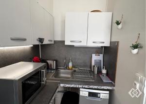 a small kitchen with white cabinets and a sink at Le Bailly charmant T2 Confort calme hyper centre in Orléans