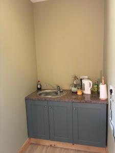 a kitchen counter with a sink in a room at The Hermitage Riverside House in Clogheen