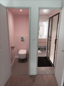 a bathroom with a toilet and a pink wall at Les 3 Platanes in Conilhac-Corbières +11 photos