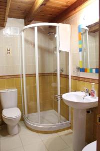 a bathroom with a shower and a toilet and a sink at Apartamentos La Barcenilla in Herada +65 photos