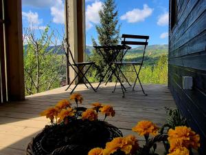 two chairs and flowers on the porch of a house at Miko II in Slavske